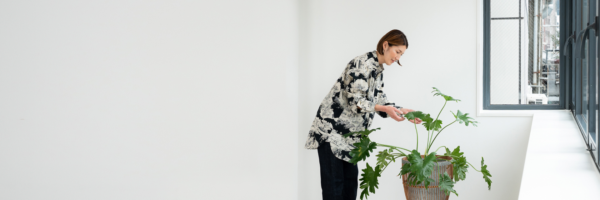 特集メインイメージ